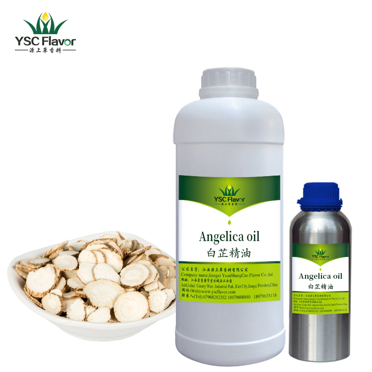 Pharmaceutic grade pure natural angelica root oil