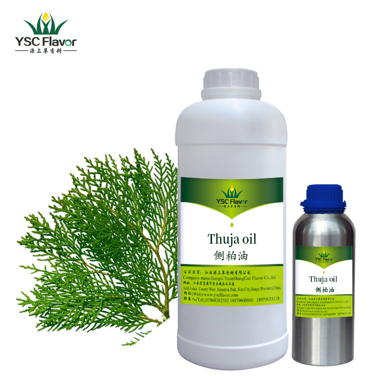 YSC Factory Price pure High Quality Arborvitae Oil Thuja leaf Oil 